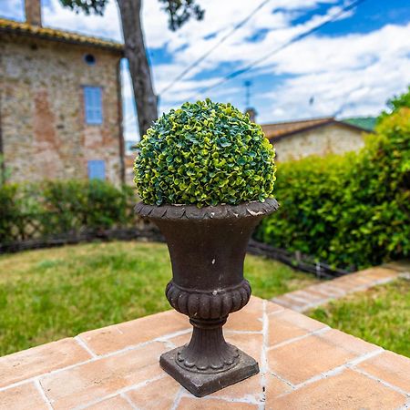 Un Petit Paradis Castiglione della Valle Zewnętrze zdjęcie