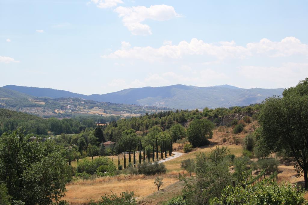 Un Petit Paradis Castiglione della Valle Zewnętrze zdjęcie